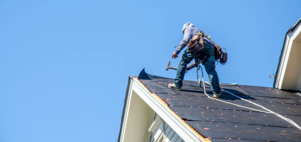 Best Metal Roofing Contractor  in Columbus, WI